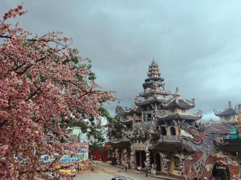 11 kỷ lục quốc gia mà chùa Ve Chai đạt được