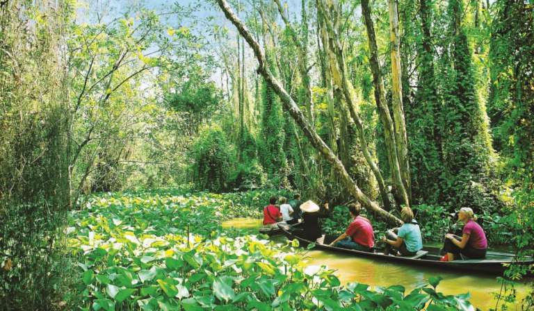 Du lịch Đồng Tháp ở đâu?