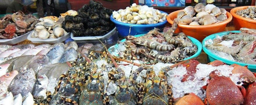 Mua hải sản ở Nha Trang – Tới ngay làng chài hải sản