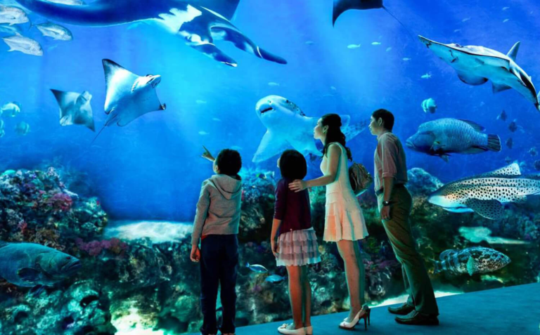 Thủy Cung Times City ở đâu? Tìm hiểu ngay trong bài viết dưới đây