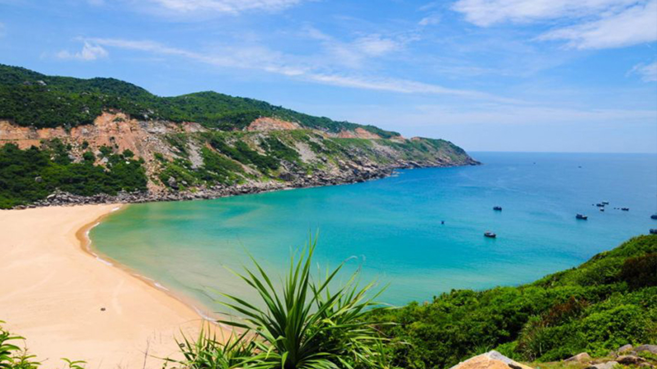 Bãi biển Phú Yên đẹp – Bãi môn mũi điện        