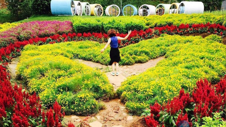 Happy land Mộc Châu ở đâu?