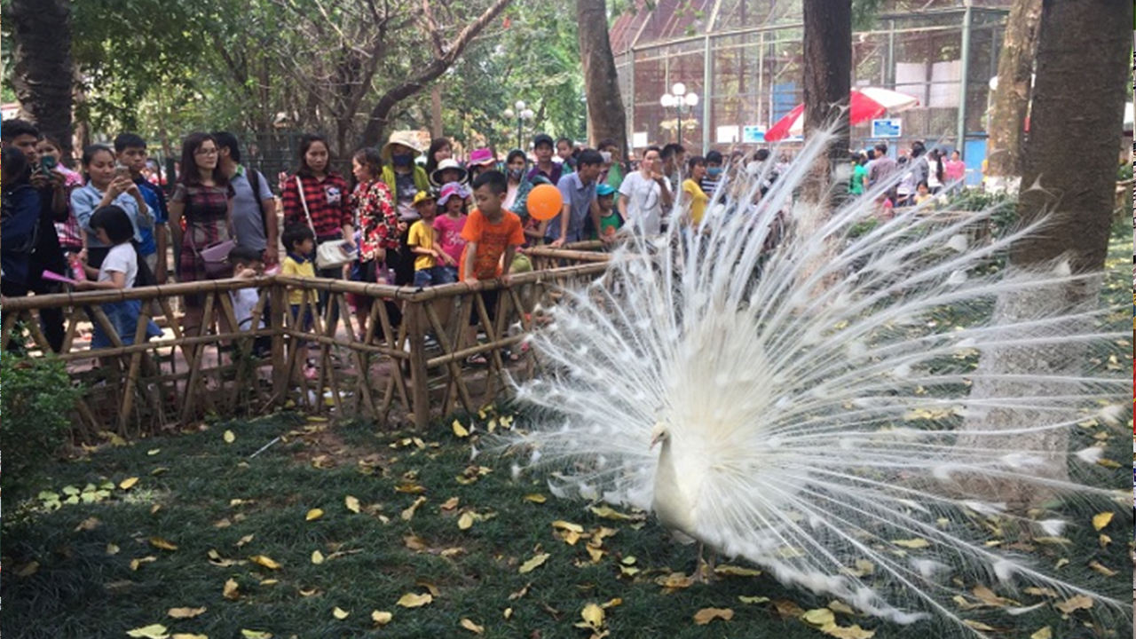 Khu vui chơi giải trí ở Hà Nội – Công viên Thủ Lệ