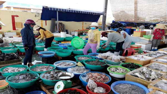 Nên tới chợ hải sản Đà Nẵng vào thời điểm nào