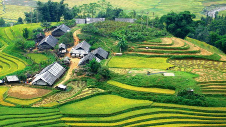Tour Sapa 2 ngày 1 đêm mang tới cho bạn nhiều trải nghiệm lý thú