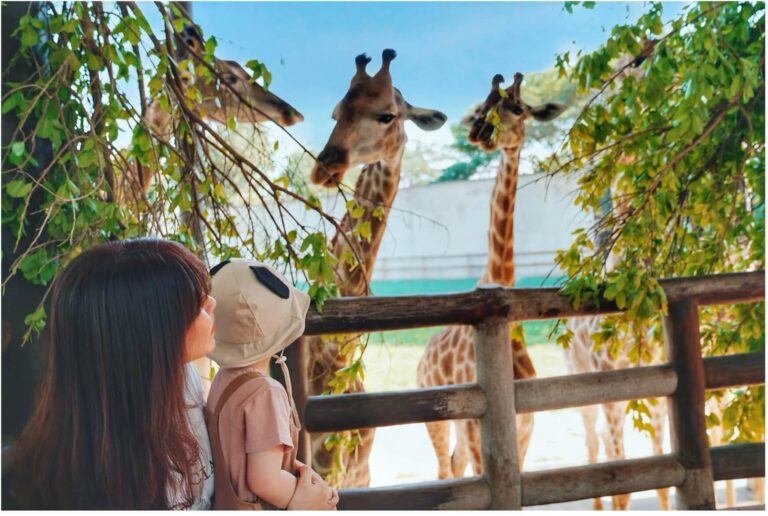 Những hoạt động vui chơi, giải trí hấp dẫn ở Vườn Xoài