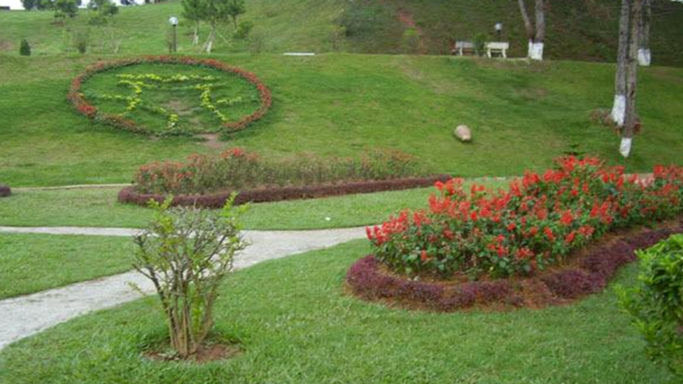 Đồi mộng mơ đà lạt