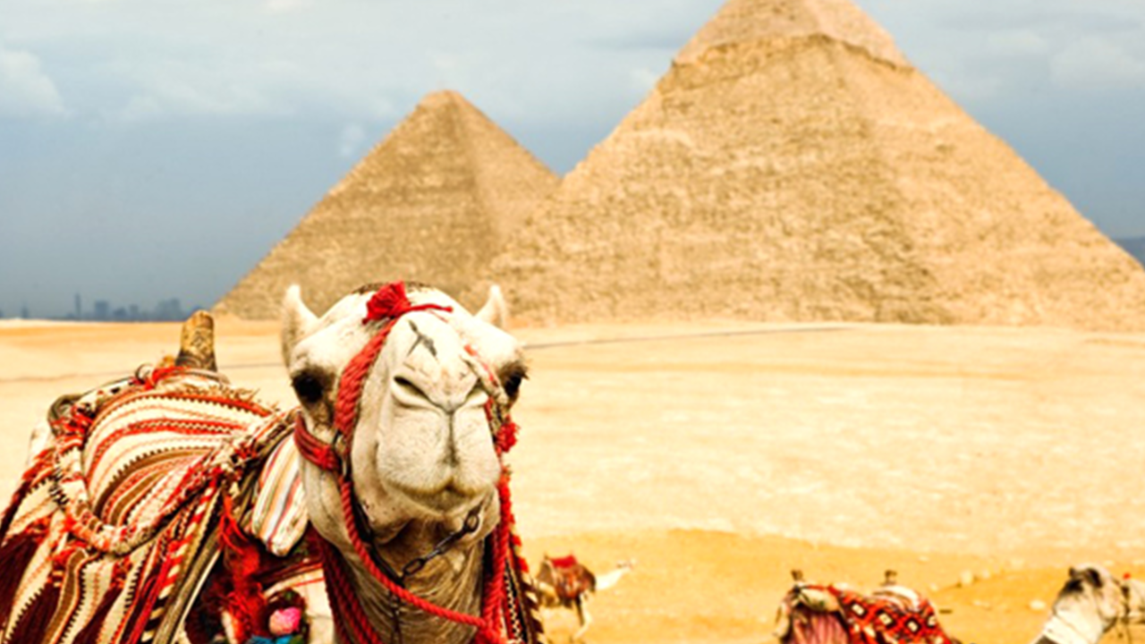 Thời gian lý tưởng nhất để đi du lịch Ai Cập?