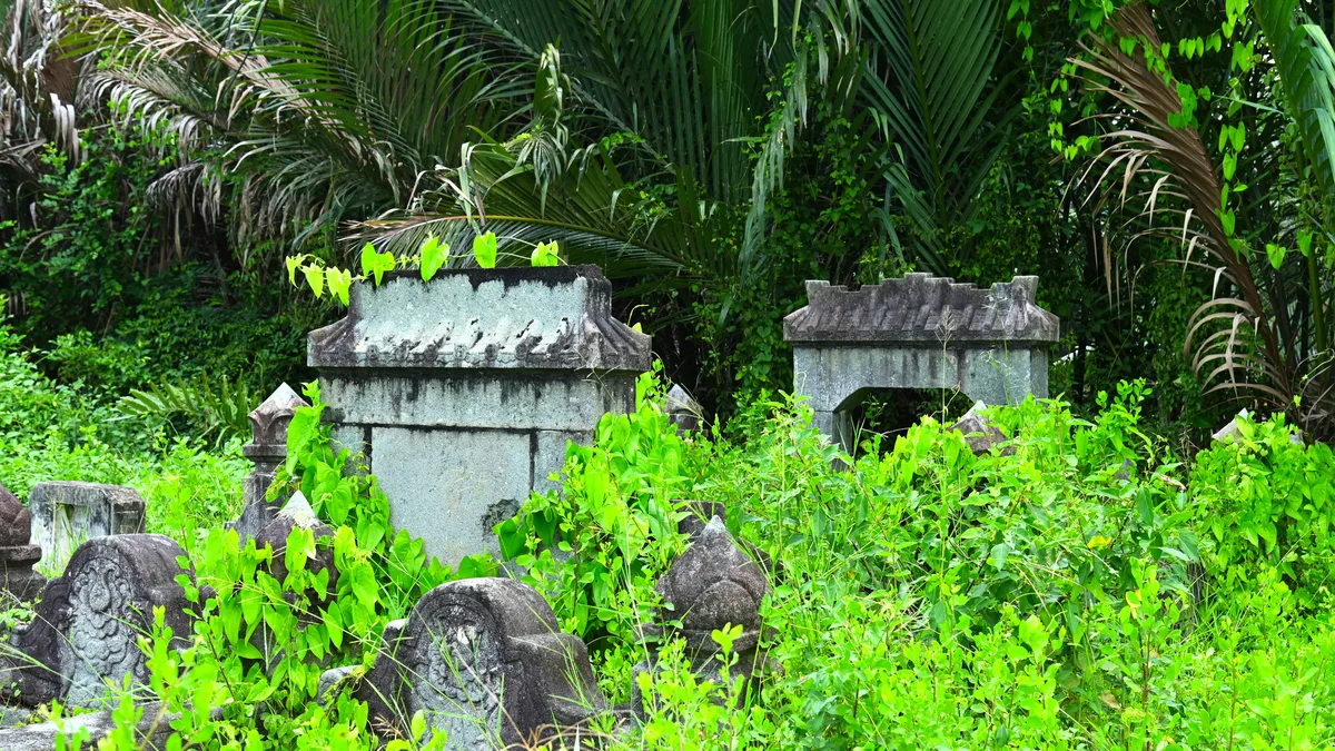 Kinh Nghiệm Du Lịch Đảo Điệp Sơn Con Đường Đi Bộ Giữa Biển Tự Túc: Đi Lại, Ăn Chơi & Chi Phí 2026 - Góc nhìn thực tế 3