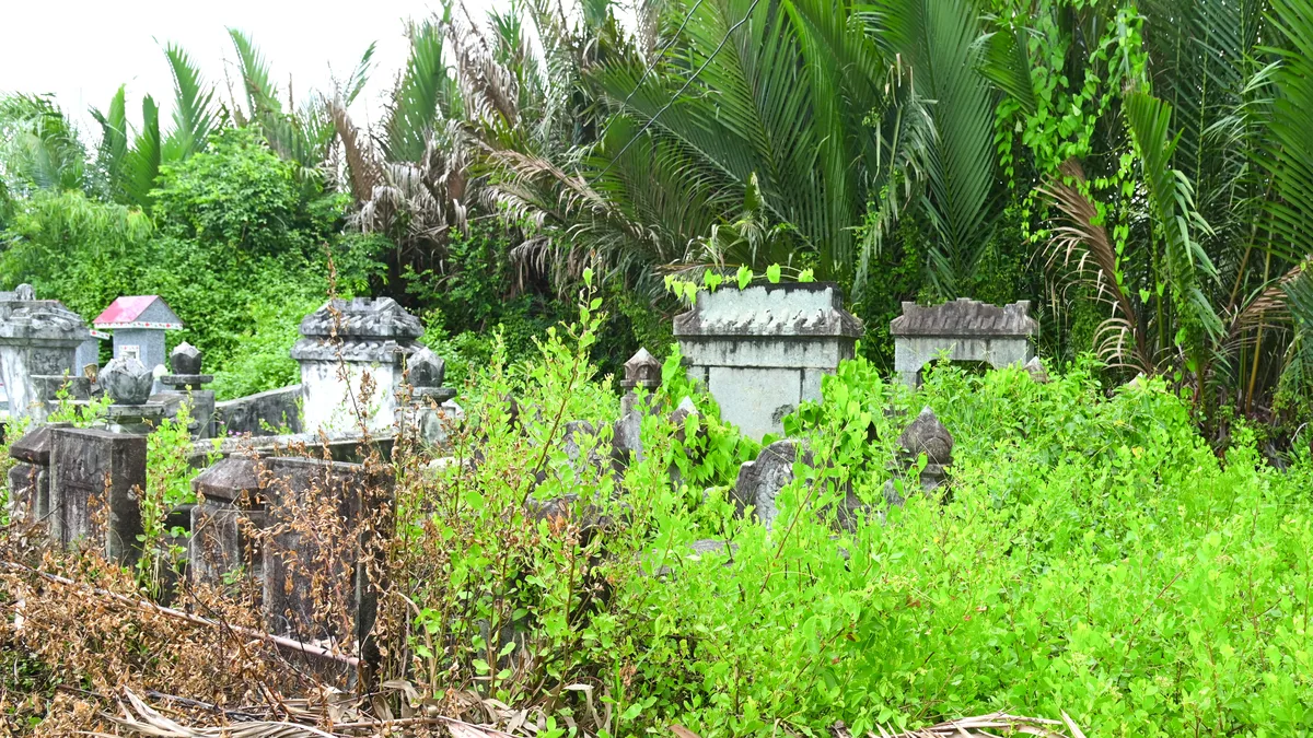 Kinh Nghiệm Du Lịch Đảo Điệp Sơn Con Đường Đi Bộ Giữa Biển Tự Túc: Đi Lại, Ăn Chơi & Chi Phí 2026 - Góc nhìn thực tế 5
