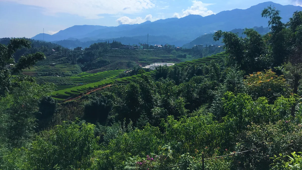 Bản Tả Phìn Sa Pa: Trải Nghiệm Tắm Lá Thuốc Người Dao Đỏ Chuẩn Vị - Góc nhìn thực tế 3