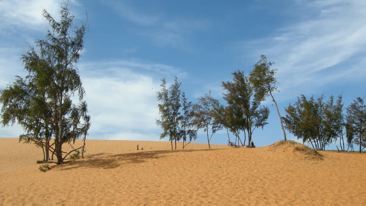 Kinh Nghiệm Du Lịch Bánh Canh Chả Cá Phan Thiết Tự Túc: Đi Lại, Ăn Chơi & Chi Phí 2026 - Góc nhìn thực tế 5