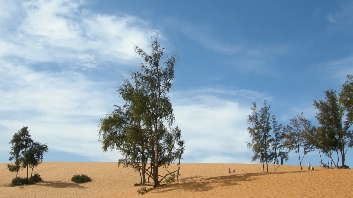 Kinh Nghiệm Du Lịch Bánh Canh Chả Cá Phan Thiết Tự Túc: Đi Lại, Ăn Chơi & Chi Phí 2026 - Góc nhìn thực tế 4