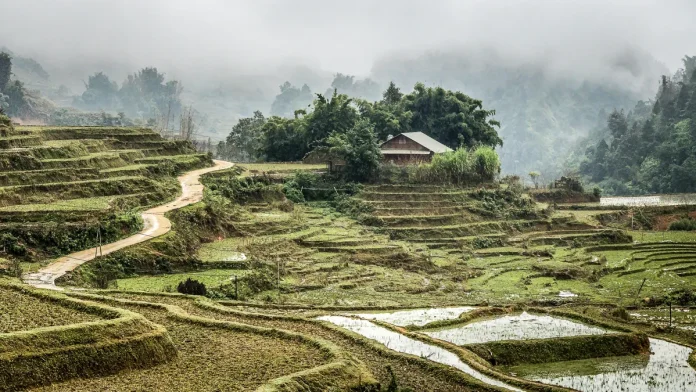 các quán cafe đẹp ở hà nội view ngắm phố cực đỉnh - Hình ảnh thực tế Rice Fields Sapa, Vietnam L