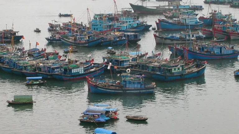 đặc sản hạ long mua làm quà ngon nức tiếng - Hình ảnh thực tế Ha Long bay tourism 34 jpg