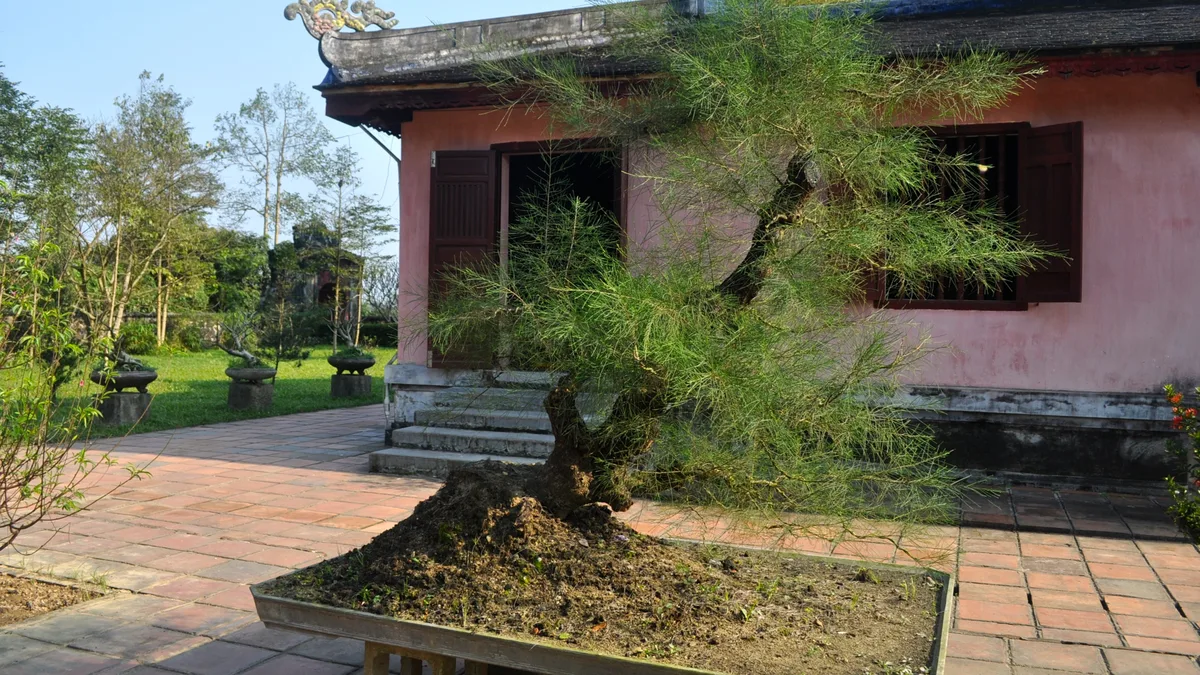 Khám Phá Đồi Thiên An & Hồ Thủy Tiên Huế: Công Viên Rồng Ma Mị - Góc nhìn thực tế 3