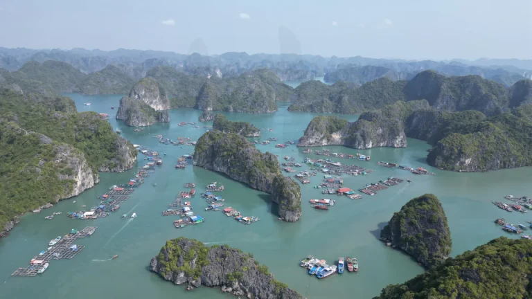 làng chài việt hải cát bà đạp xe xuyên rừng - Hình ảnh thực tế Lan Ha Bay Cat Ba Vietnam Andres Lari