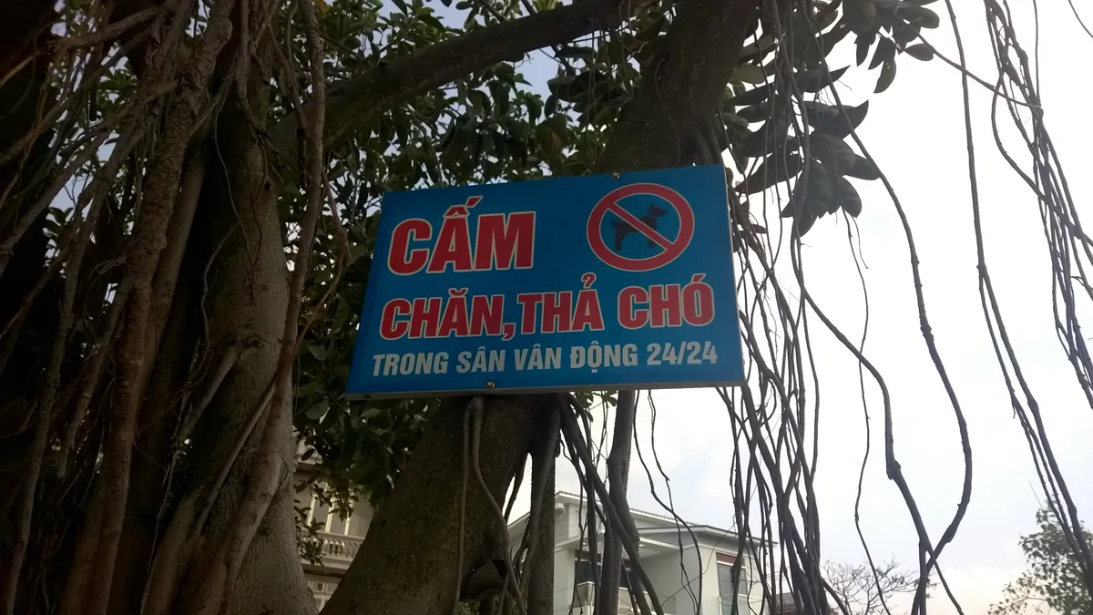 Kinh Nghiệm Đi Làng Gốm Bát Tràng: Tự Tay Vuốt Gốm & Check-in 2026 - Góc nhìn thực tế 2