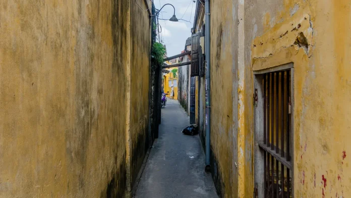 làng rau trà quế hội an một ngày làm nông dân ảnh 1 làng rau trà quế hội an một ngày làm nông dân - Hình ảnh thực tế Hội An, Ancient Town, 2020 01 CN 04