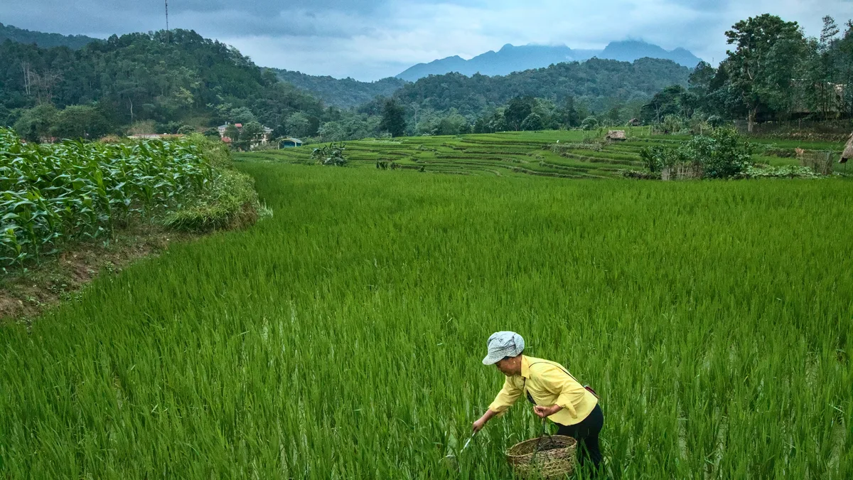 Lịch Trình Du Lịch Hà Giang 4N3Đ Tự Túc: Cung Đường & Chi Phí 2026 - Góc nhìn thực tế 3