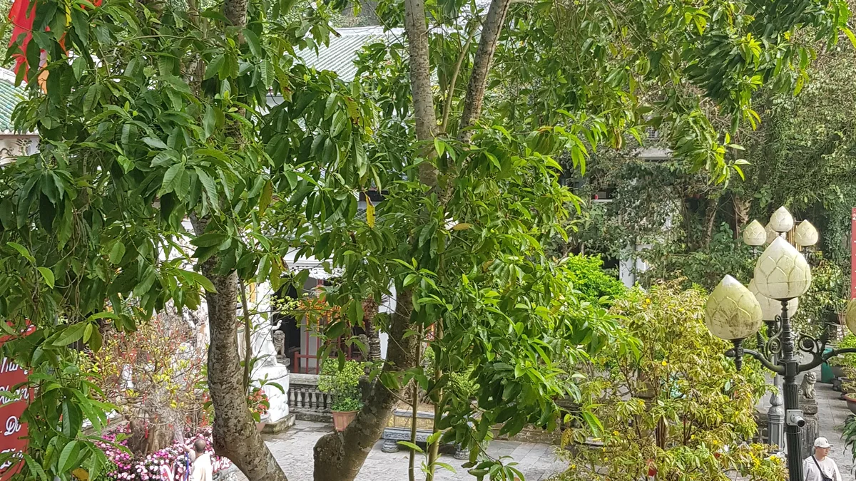 Khám Phá Ngũ Hành Sơn Đà Nẵng: Bảng Giá Vé & Lộ Trình Tham Quan - Góc nhìn thực tế 2