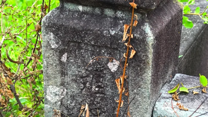 đồi cát phương mai - Hình ảnh thực tế Ancient Tomb Complex in Phước Vĩnh Đông Commune, Cần Giuộc, Vi