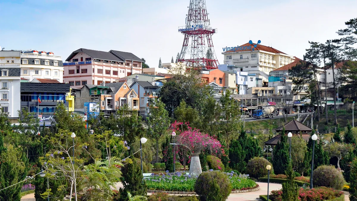 Kinh Nghiệm Check-in Săn Mây Đồi Đa Phú Đà Lạt: Giá Vé, Đường Đi & Góc Chụp Đẹp 2026