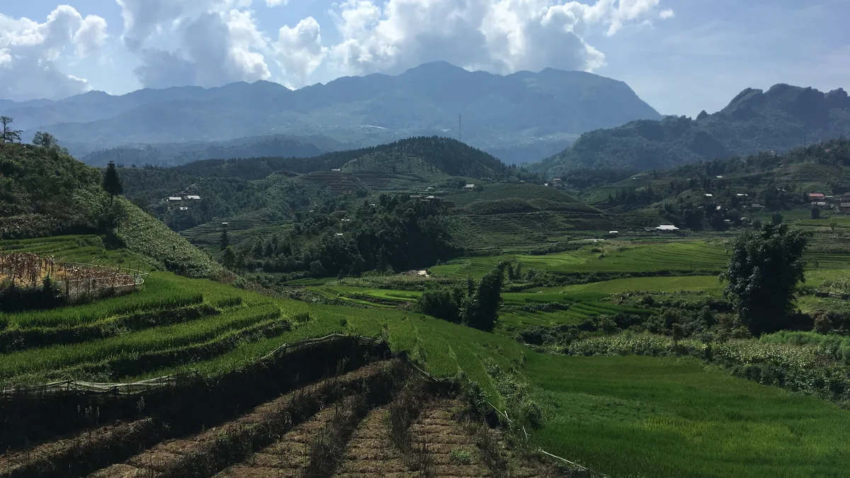 Thung Lũng Mường Hoa Sa Pa: Thời Điểm Vàng Săn Lúa Chín Tuyệt Đẹp - Góc nhìn thực tế 3