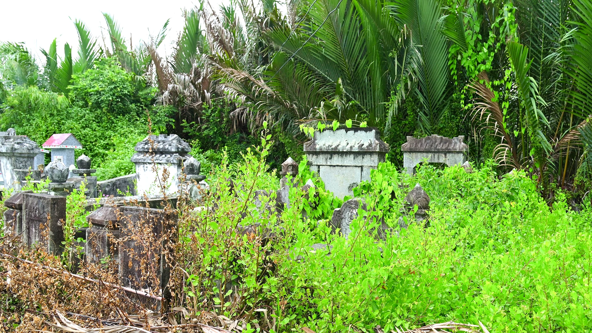 Kinh Nghiệm Du Lịch Chợ Bến Thành Và Dinh Độc Lập Tự Túc: Đi Lại, Ăn Chơi & Chi Phí 2026 - Góc nhìn thực tế 2