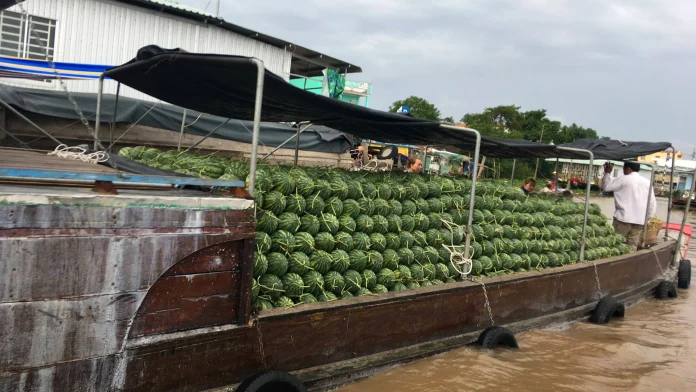 chợ nổi cái răng cần thơ cẩm nang ăn sáng trên ghe ảnh 1 chợ nổi cái răng cần thơ cẩm nang ăn sáng trên ghe - Hình ảnh thực tế Cai Rang Floating Market 4 jpg