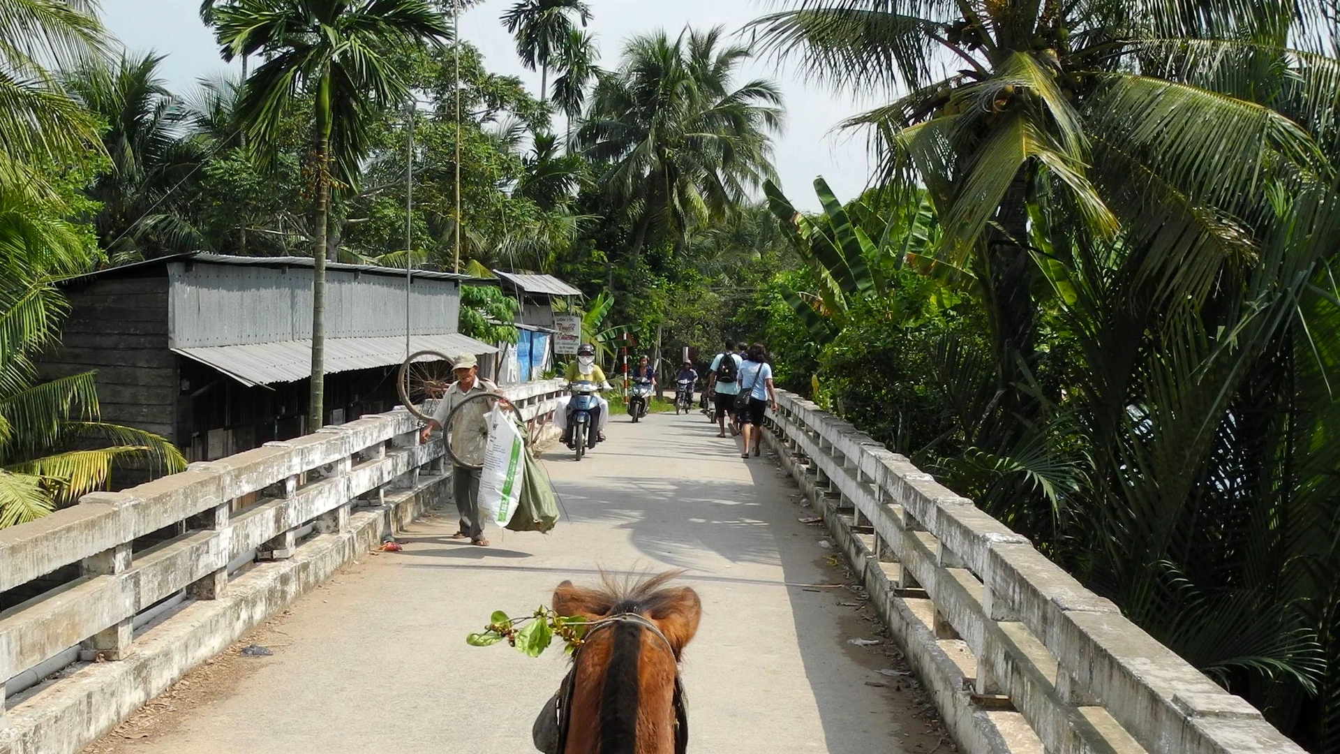 Kinh Nghiệm Đi Lễ Cồn Phụng Bến Tre Di Tích Đạo Dừa: Giá Vé & Lộ Trình Vãn Cảnh Đầy Đủ 2026 - Góc nhìn thực tế 3